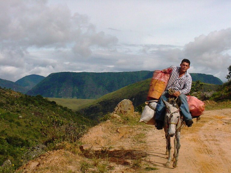 Yo no vivo en San Cristóbal