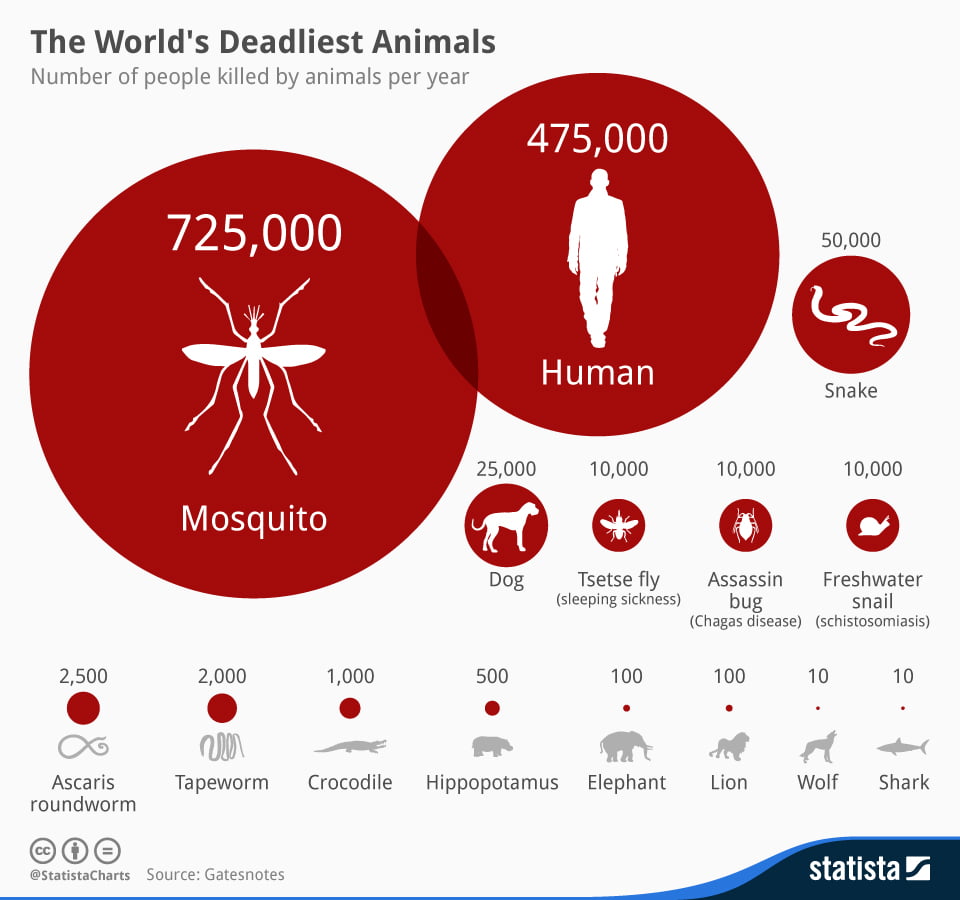 los mosquitos no matan gente