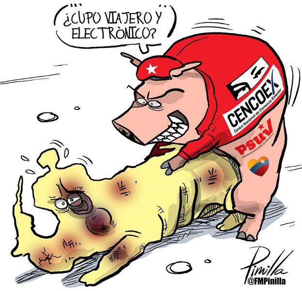 CADIVAZO: señor gobierno, ¿me regala una limosnita?
