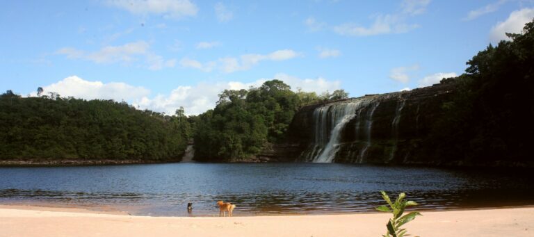 Parque Nacional Canaima, entre el amor y la indolencia